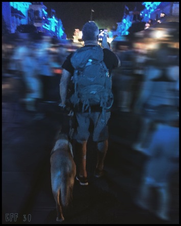 Man and service dog walking in crowd